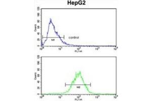 Flow Cytometry (FACS) image for anti-Signal Peptidase Complex Subunit 3 Homolog (SPCS3) antibody (ABIN3002742) (SPCS3 Antikörper)