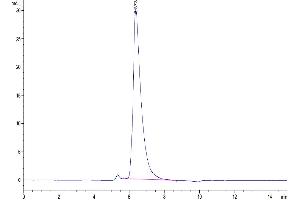 Size-exclusion chromatography-High Pressure Liquid Chromatography (SEC-HPLC) image for SLAM Family Member 7 (SLAMF7) (AA 23-226) protein (His-Avi Tag,Biotin) (ABIN7275633)