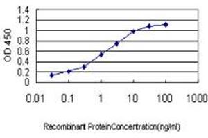 Detection limit for recombinant GST tagged CDX4 is approximately 0. (CDX4 Antikörper  (AA 71-170))