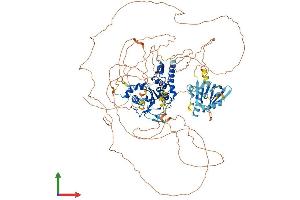 AlphaFold protein structure predicition of Mouse Recombinant Senp7 Protein, UniprotID Q8BUH8 (SENP7 Protein (AA 1-1037) (His tag))