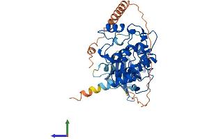 Protein Structure (PS) image for Myosin Light Chain Kinase Family, Member 4 (MYLK4) (AA 1-388) protein (His tag) (ABIN7549663)