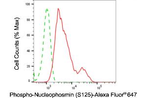 Flow cytometric analysis of phospho-nucleophosmin (S125) expression in HepG2 cells using phospho-nucleophosmin (S125) antibody (ABIN7799672), 1:2,000). (Rekombinanter NPM1 Antikörper  (pSer125))