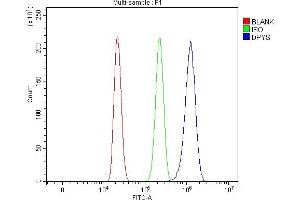 Flow Cytometry analysis of HL-60 cells using anti-DPYS antibody (ABIN7599618).
