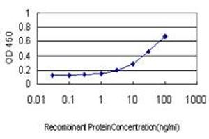 Detection limit for recombinant GST tagged GUCY2C is approximately 0. (GUCY2C Antikörper  (AA 24-133))