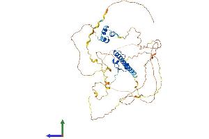 Protein Structure (PS) image for DMRT-Like Family A1 (DMRTA1) (AA 1-504) protein (His tag) (ABIN7547137)