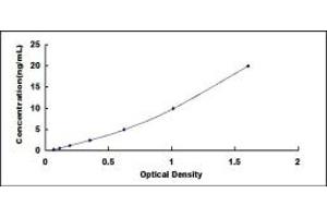 Typical standard curve (MCT3 ELISA Kit)