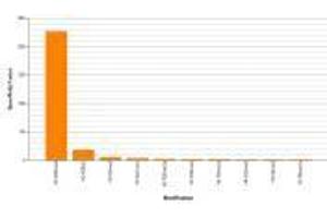 Histone H3K36me3 antibody (rAb) specificity tested by peptide array analysis. (Rekombinanter Histone 3 Antikörper  (H3K36me3))