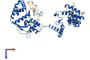 RGS6 Protein (AA 1-472) (His tag)