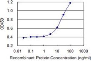 Detection limit for recombinant GST tagged PRKDC is 1 ng/ml as a capture antibody. (PRKDC Antikörper  (AA 4019-4128))
