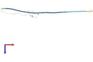 CCDC91 Protein (AA 1-442) (His tag)