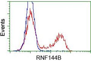 HEK293T cells transfected with either pCMV6-ENTRY RNF144B (RC209302) (Red) or empty vector control plasmid (Blue) were immunostained with anti-RNF144B mouse monoclonal (ABIN2453612), and then analyzed by flow cytometry. (RNF144B Antikörper  (AA 1-256))