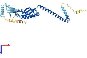AlphaFold protein structure predicition of Mouse Recombinant Stom Protein, UniprotID P54116 (Stomatin Protein (STOM) (AA 1-284) (His tag))