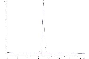 The purity of Mouse Fc is greater than 95 % as determined by SEC-HPLC. (IgG1 Fc Protein)
