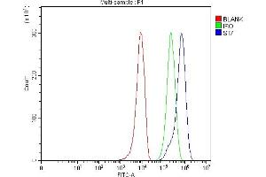 Flow Cytometry analysis of 293T cells using anti-ST7 antibody (ABIN4886732). (ST7 Antikörper  (Middle Region))