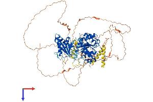 DDX20 Protein (AA 1-825) (His tag)