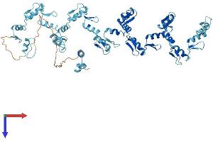 ZNF709 Protein (AA 1-641) (His tag)
