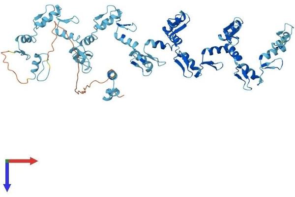 ZNF709 Protein (AA 1-641) (His tag)