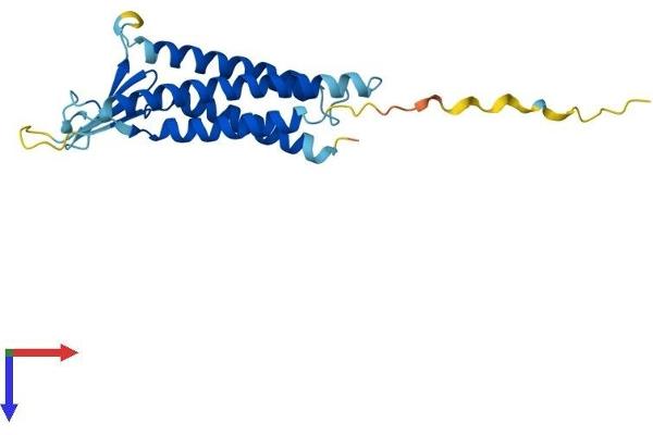 Claudin 1 Protein (CLDN1) (AA 1-211) (His tag)