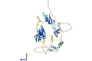 Protein Structure (PS) image for Double-stranded RNA-binding protein Staufen homolog 2 (STAU2) (AA 1-570) protein (His tag) (ABIN7546370)