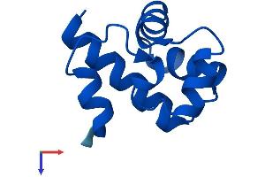 BANF1 Protein (AA 1-89) (His tag)