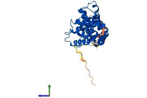 Protein Structure (PS) image for RCD1 Required For Cell Differentiation1 Homolog (RQCD1) (AA 1-299) protein (His tag) (ABIN7561656)