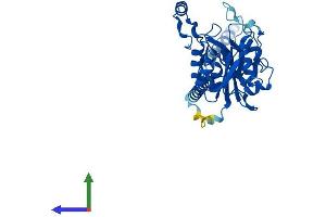 Protein Structure (PS) image for beta-1,3-Glucuronyltransferase 3 (Glucuronosyltransferase I) (B3GAT3) (AA 1-335) protein (His tag) (ABIN7552504)