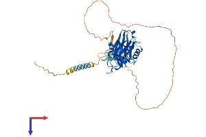 SYT4 Protein (AA 1-425) (His tag)