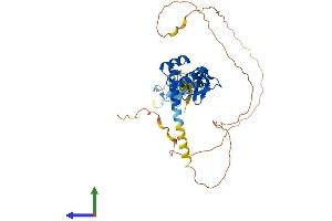 Protein Structure (PS) image for LIM Homeobox 4 (LHX4) (AA 1-390) protein (His tag) (ABIN7549011)
