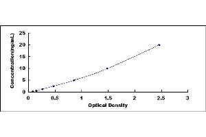 ELISA image for Tumor Necrosis Factor Receptor Superfamily, Member 8 (TNFRSF8) ELISA Kit (ABIN431773)