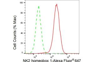 Flow cytometric analysis of NK2 homeobox 1 expression in HAP-1 cells using NK2 homeobox 1 antibody (ABIN7799608), 1:2,000). (Rekombinanter NKX2-1 Antikörper)