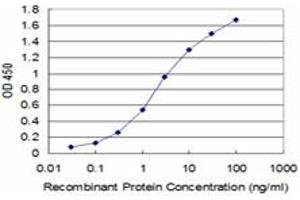 Detection limit for recombinant GST tagged BOLL is approximately 0. (BOLL Antikörper  (AA 185-283))