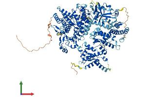 Protein Structure (PS) image for Phosphorylase Kinase, beta (PHKB) (AA 1-1085) protein (His tag) (ABIN7564213)