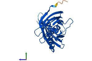 Protein Structure (PS) image for Latexin (LXN) (AA 1-222) protein (His tag) (ABIN7549214)