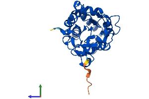 Protein Structure (PS) image for Haloacid Dehalogenase-Like Hydrolase Domain Containing 1 (HDHD1) (AA 1-234) protein (His tag) (ABIN7561022)