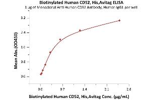 ELISA image for CD52 (CD52) (AA 25-36) (Active) protein (His tag,AVI tag,Biotin) (ABIN6951030)