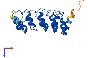 CDKN2C Protein (AA 1-168) (His tag)