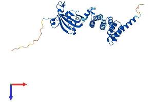 FKBP6 Protein (AA 1-327) (His tag)