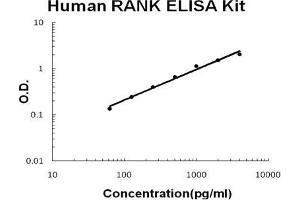 Human RANK PicoKine ELISA Kit standard curve (TNFRSF11A ELISA Kit)
