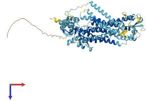 ANO9 Protein (AA 1-747) (His tag)