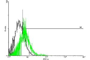 FACS analysis of negative control 293 cells (Black) and GPR151 expressing 293 cells (Green) using GPR151 purified MaxPab mouse polyclonal antibody.