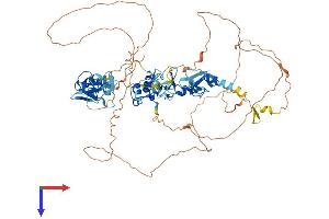 ABLIM3 Protein (AA 1-682) (His tag)