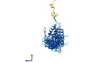 AlphaFold protein structure predicition of Mouse Recombinant Tcp1 Protein, UniprotID P11983