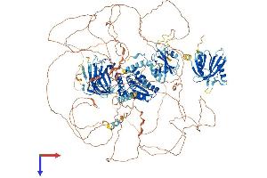 TNS3 Protein (AA 1-1440) (His tag)