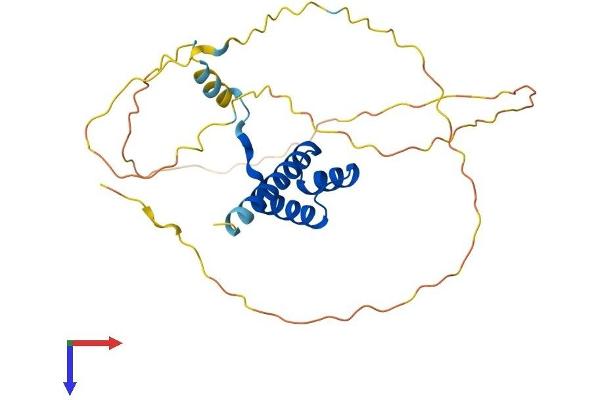 HOXC9 Protein (AA 1-260) (His tag)