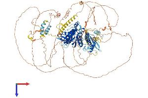 EPB41L3 Protein (AA 1-1087) (His tag)