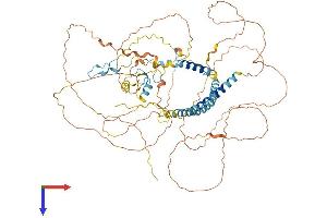 RNF169 Protein (AA 1-708) (His tag)