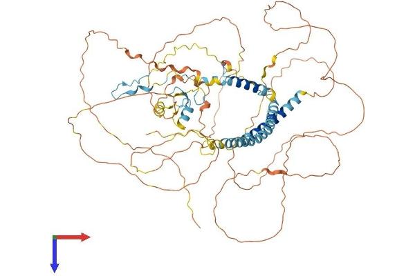 RNF169 Protein (AA 1-708) (His tag)
