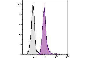 Human peripheral blood granulocytes were stained with Mouse Anti-Human CD33-PE/CY5. (CD33 Antikörper)