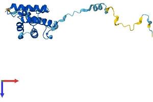 Transgelin 3 (TAGLN3) (AA 1-199) protein (His tag)