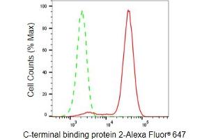Flow cytometric analysis of C-terminal binding protein 2 expression in HeLa cells using C-terminal binding protein 2 antibody (ABIN7797816), 1:2,000). (Rekombinanter CTBP2 Antikörper)